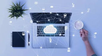 管家婆云订货通与云会员通 双轮驱动，助力企业运营效率与客户管理全面跃升