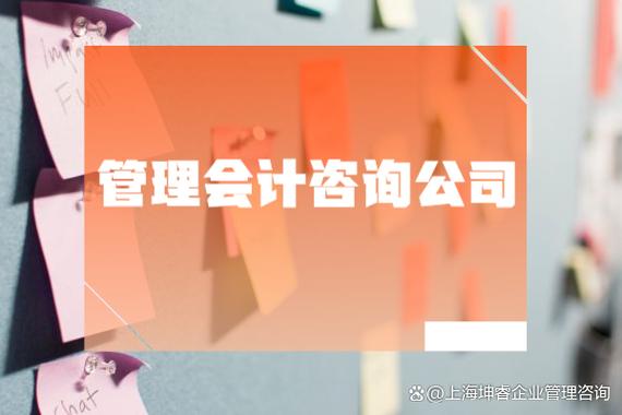 如何选择管理会计咨询公司 一份企业决策指南